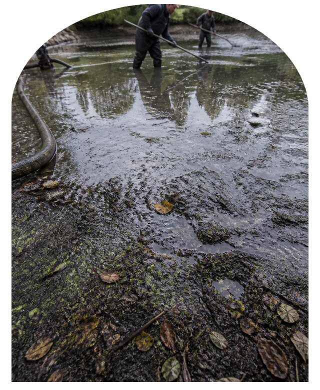 Очистка пруда в Чебоксарах от ила мусора и водорослей с вывозом